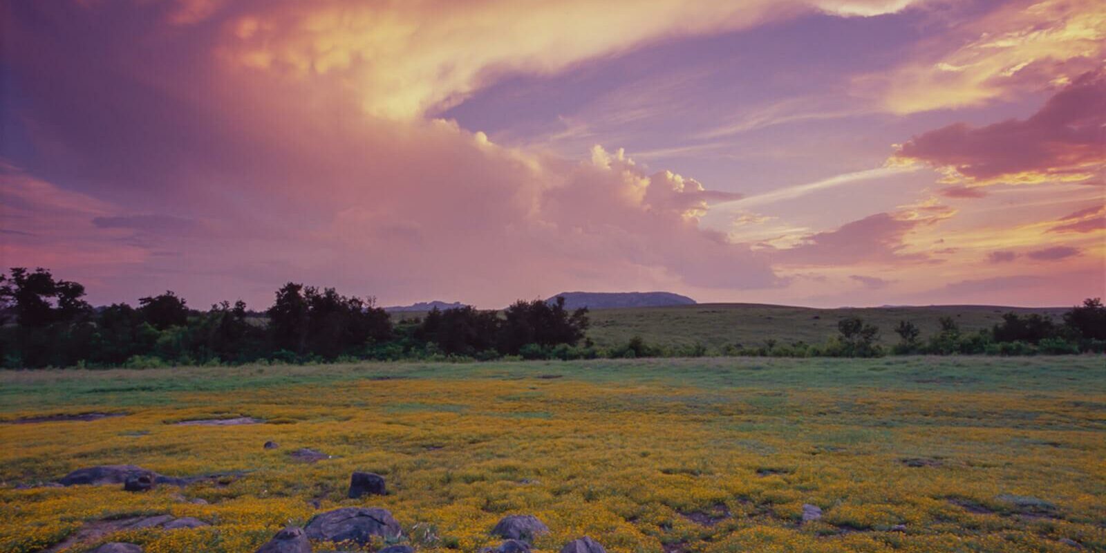 Oklahoma field